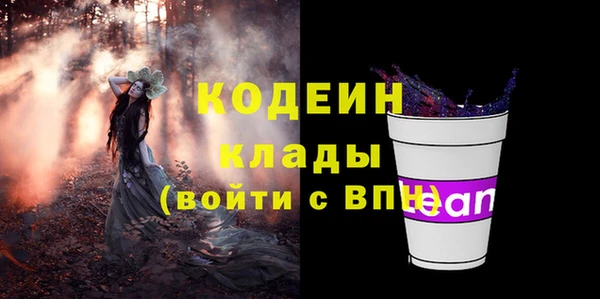 ECSTASY Бородино