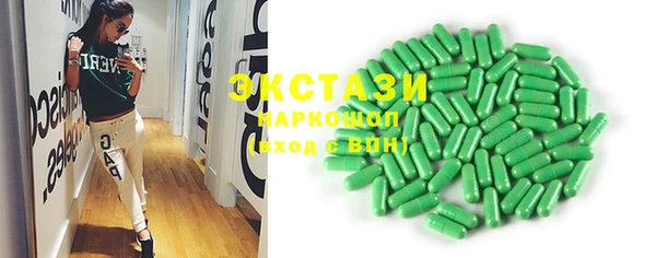 ECSTASY Бородино
