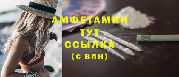 ECSTASY Бородино