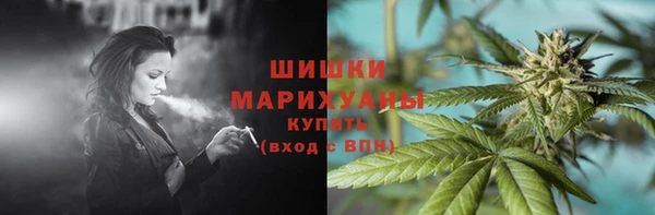 ECSTASY Бородино