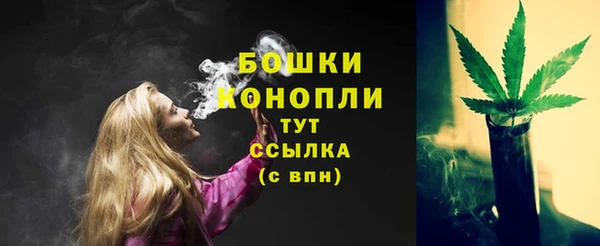 гидра Бронницы