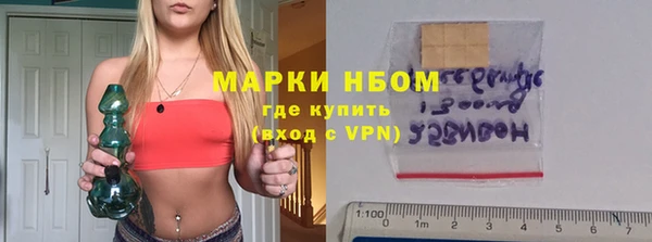 гидра Бронницы