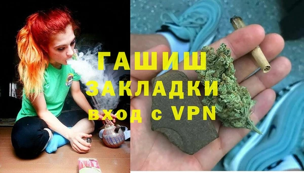 гидра Бронницы