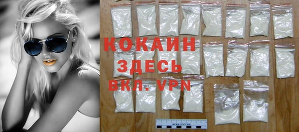 ECSTASY Бородино