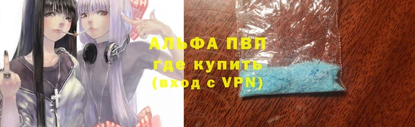 ECSTASY Бородино